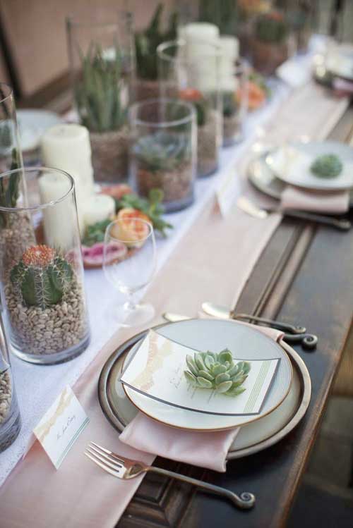 details decoration table assiette, plante succulente